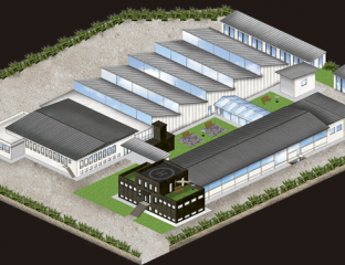 Allison-Volta-Mantovana