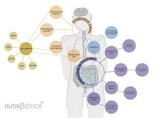 microbiota-cancer-probioticos