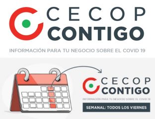 CECOP CONTIGO SEMANAL